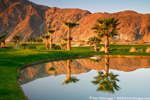silver rock resort golf course